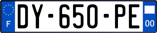 DY-650-PE