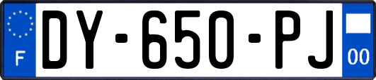 DY-650-PJ