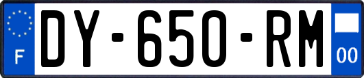 DY-650-RM