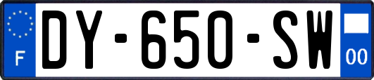 DY-650-SW