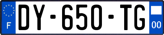 DY-650-TG