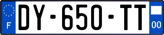 DY-650-TT