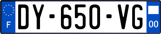 DY-650-VG