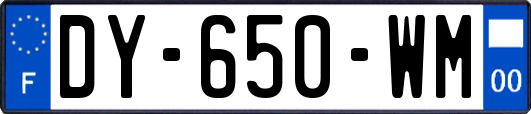 DY-650-WM