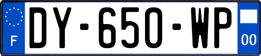 DY-650-WP