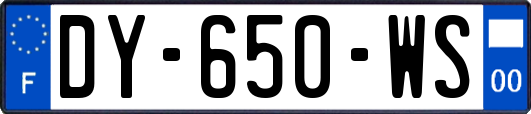 DY-650-WS