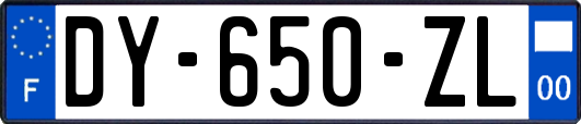 DY-650-ZL