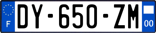 DY-650-ZM