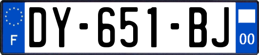 DY-651-BJ