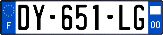 DY-651-LG