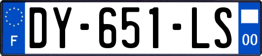 DY-651-LS