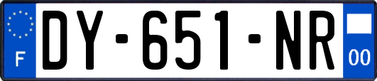 DY-651-NR