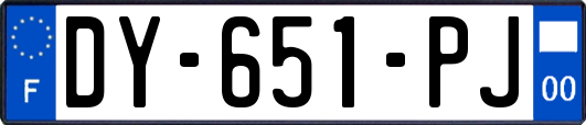 DY-651-PJ