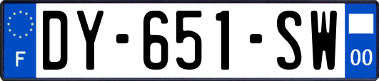 DY-651-SW