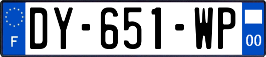 DY-651-WP