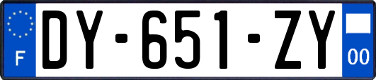 DY-651-ZY