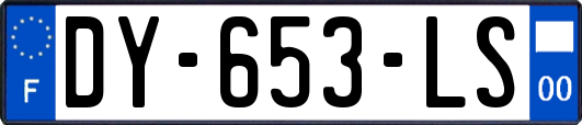 DY-653-LS