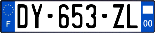 DY-653-ZL