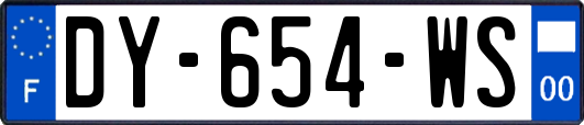 DY-654-WS