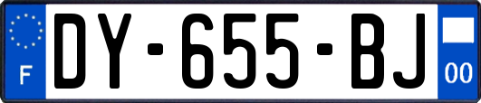 DY-655-BJ