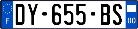DY-655-BS
