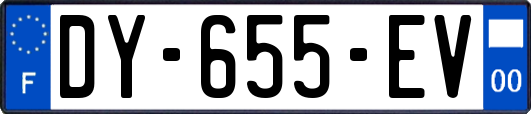 DY-655-EV