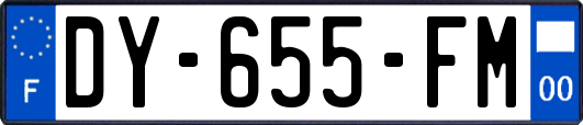 DY-655-FM