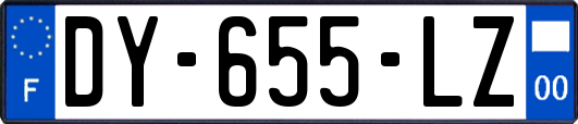 DY-655-LZ