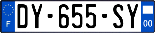 DY-655-SY