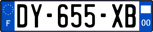 DY-655-XB