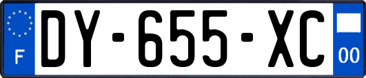 DY-655-XC