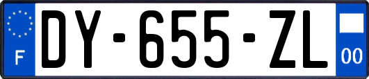 DY-655-ZL