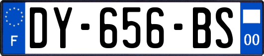 DY-656-BS