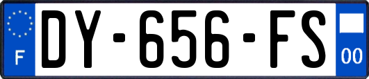 DY-656-FS