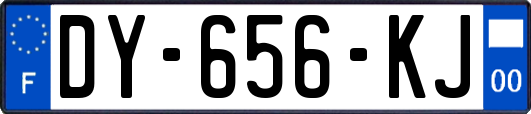 DY-656-KJ