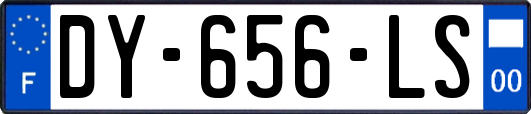 DY-656-LS