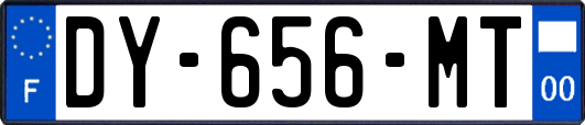 DY-656-MT