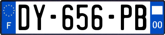 DY-656-PB