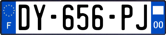 DY-656-PJ