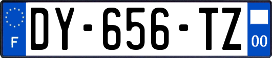 DY-656-TZ