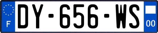 DY-656-WS