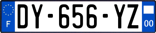 DY-656-YZ