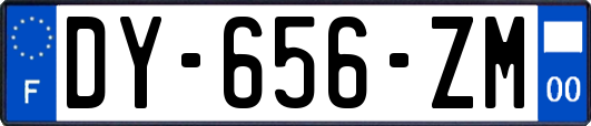 DY-656-ZM