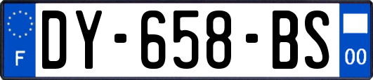 DY-658-BS