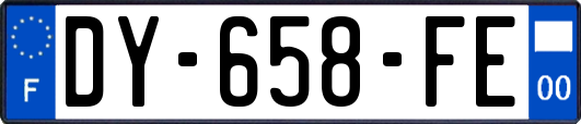 DY-658-FE