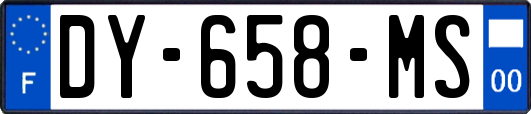 DY-658-MS