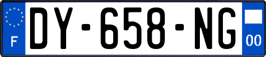 DY-658-NG