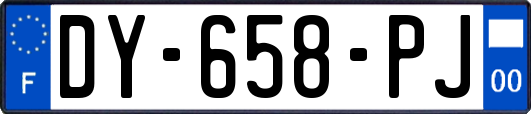 DY-658-PJ