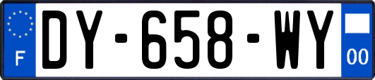 DY-658-WY