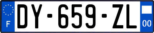 DY-659-ZL